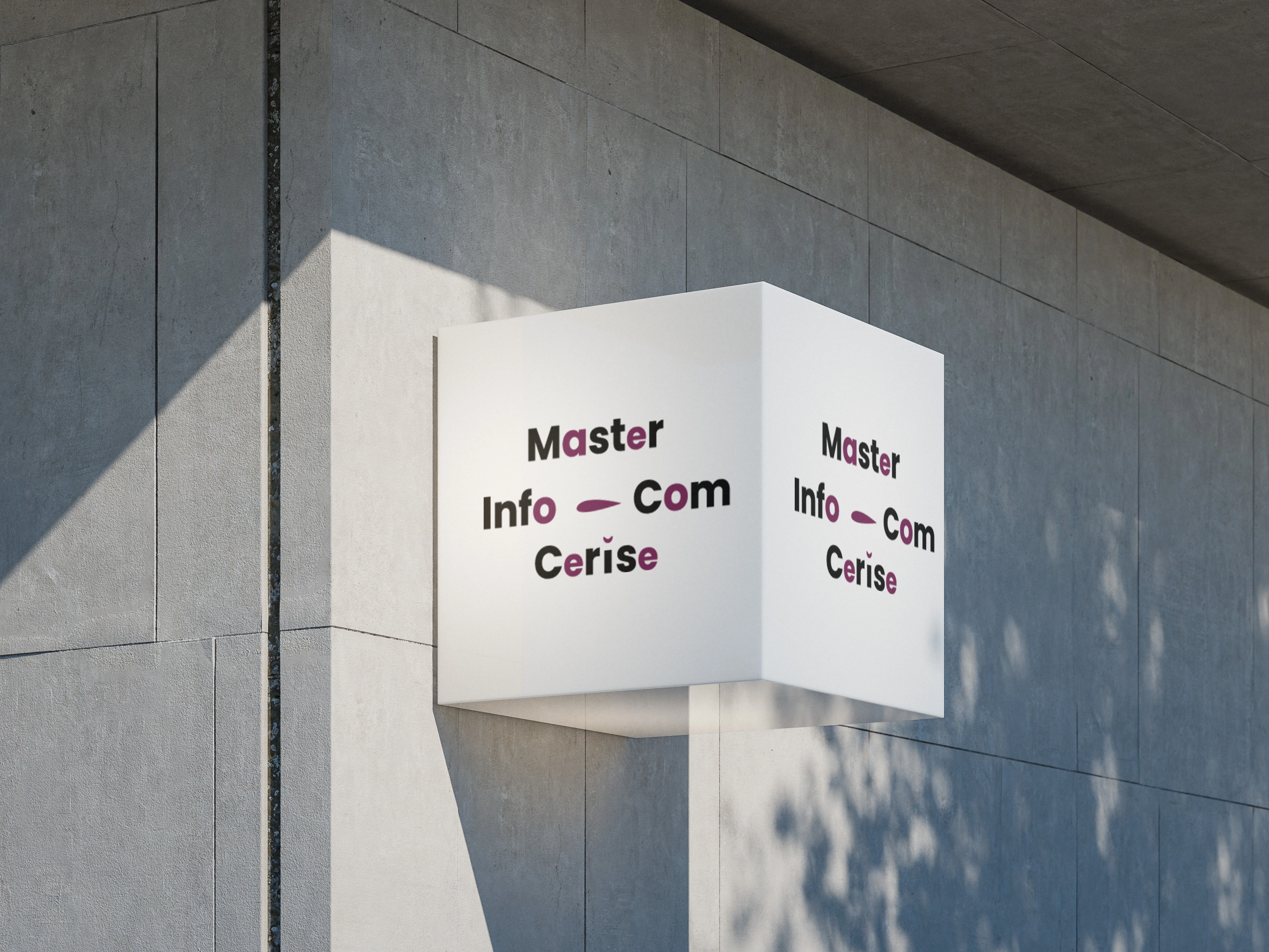 Master CERISE